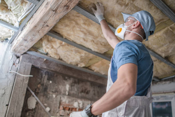 Best Cellulose Insulation in Lake Goodwin, WA