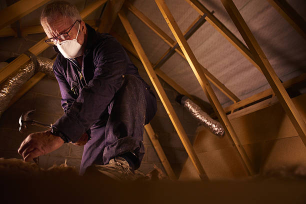 Best DIY Insulation Kits and Guidance in Lake Goodwin, WA